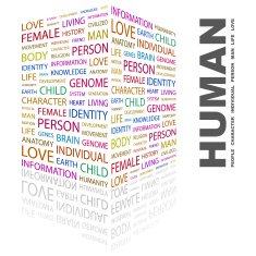 HUMAN N7
