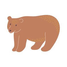 bear N23