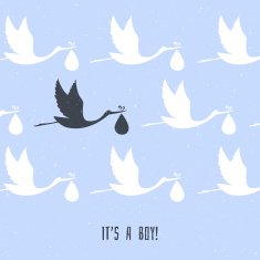 It's a Boy! N9