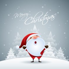 Merry Christmas N76