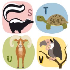 Animal alphabet S-V