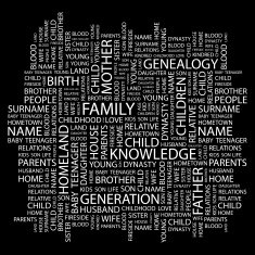 Family N347
