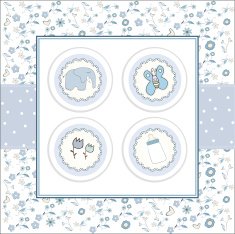 Baby boy announcement card N76