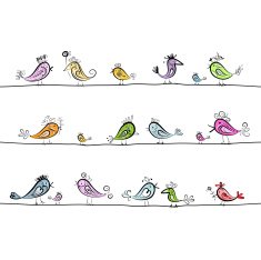 Funny birds seamless pattern for your design