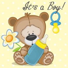 Teddy N11