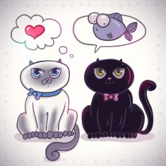Couple of cute black and white kittens