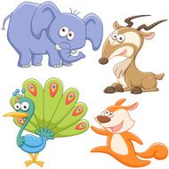 cute animal collection N17