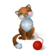 funny cat N2