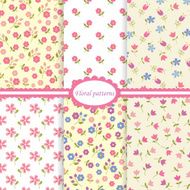 Set of flower seamless patterns N2