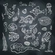 Funny Sea Life and Fish Doodle set on school Board