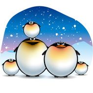 Emperor Penguin