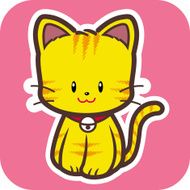 Cute kitten N13