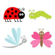Cute cartoon insect set Ladybug dragonfly butterfly and cater