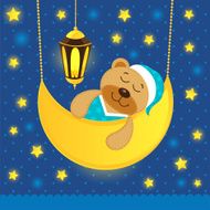 Sleeping Teddy Bear N4