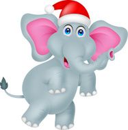 funny elephant cartoon with hat christmas