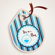 Baby boy label