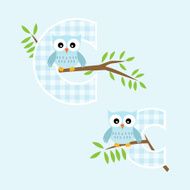 Alphabet for baby boy with owl vector letters C