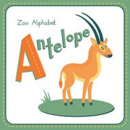 Letter A - Antelope N2