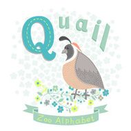 Letter Q - Quail N2