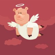 Angel Pig N2