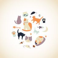 Kitty Collection