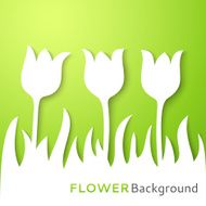 Flower applique background Vector illustration