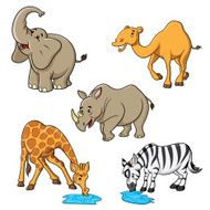 Camel Elephant Giraffe Rhino &amp; Zebra Cartoon