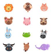 Animals around the world