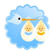stork with twins