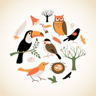 Bird Collection