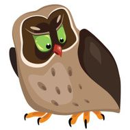 Angry owl