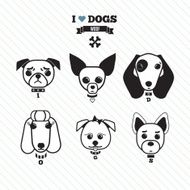 Dog faces