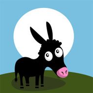Cute little donkey
