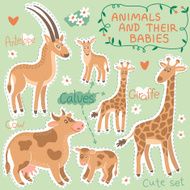 Baby and Mommy Animal Set N11