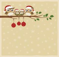 owl family christmas celebration