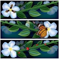 Flower Banner