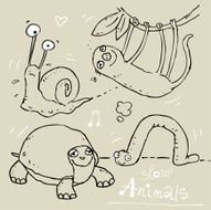 funny slow animals
