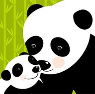 Panda mother love