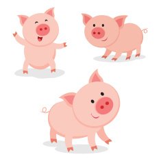 Cute pigs Cheerful pig