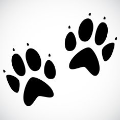 Animal print VECTOR icon N2