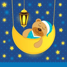Sleeping Teddy Bear N4