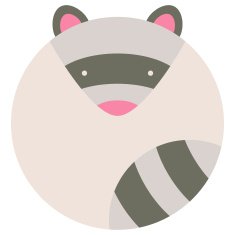 Raccoon N5