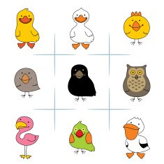 Birds N12