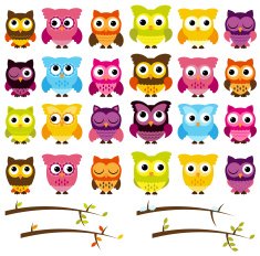 Vector Collection of Cute Owls and Seasonal Branches