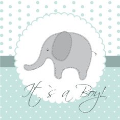 Baby Shower N414