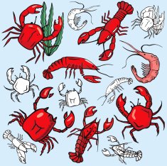 Sea World XVI Crabs Lobsters Shrimps ( Vector)