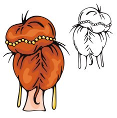 Fashion Woman Vector Illustration Series N50
