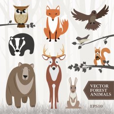 Set of vector forest animals