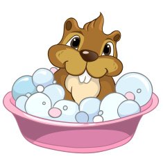 Kid Beaver N10