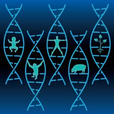 DNA Collection free image download